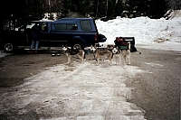 dog_sled_before_lincoln_lafayette_climb